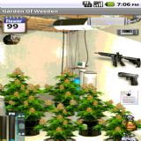 Download Garden Of Weeden Cell Phone Game